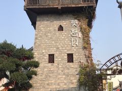 -莫愁村问君老酸奶