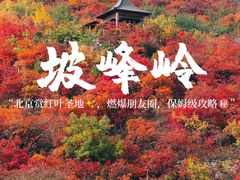 -周口店坡峰岭风景区