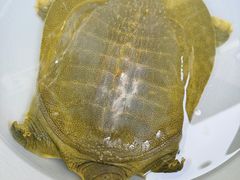 -赣江里•江西菜(望京旺角店)