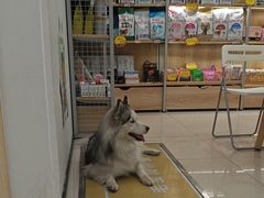 -艾贝尔宠物医院 ·中兽医·宠保定点(北门桥店)