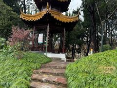 -嘉定紫藤园