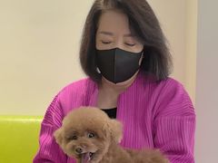 -北京派仕佳德动物医院·超导核磁·CT·神经科·骨科·内外科·急重症管理中心