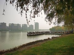 -塘沽森林公园