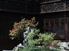 -耦园