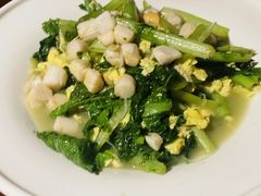 -前海沿·青岛菜(大拇指广场石老人店)