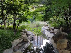 -富力威斯汀酒店·知味自助餐厅