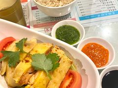 海南鸡-滕记星发餐室·新加坡菜(巨鹿路店)