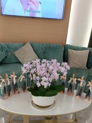 -雅曼妮spa美容养生