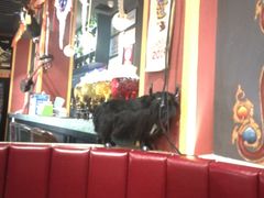 卡座-敏珠拉姆藏餐·南京厨房(富春江东街店)