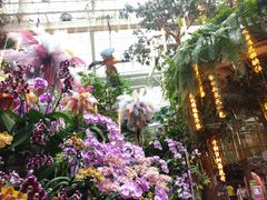 -正佳雨林生态植物园