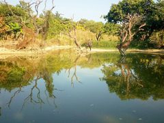 -鹤之洲湿地公园