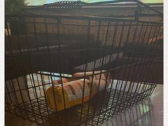 -HIB HUB公社(解放西路店)