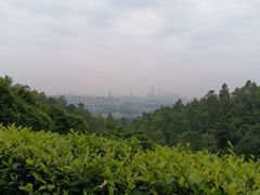 -火炉山森林公园