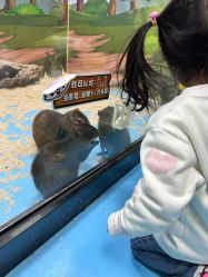 -未来动物城动物主题公园(大悦城店)