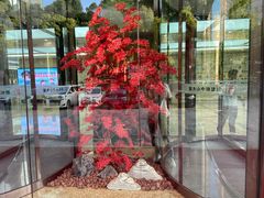 -新虹桥中心大厦