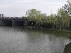 -尚贤河湿地