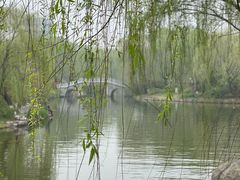 -济南大明湖景区