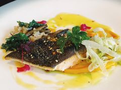 北极红点鲑鱼-福楼法餐厅FLO