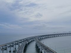 -添福来墨鱼饺子 · 海鲜东北菜(大连星海·黄浦路店)