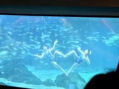 -海合安成都极地海洋公园