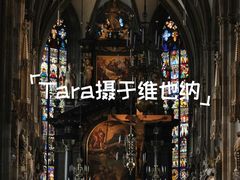 -斯蒂芬主教座堂(Stephansdom)