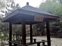 -大兴滨河森林公园