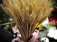 菲菲鲜花店-FEI FEI FLOWER鲜花店·气球派对·宝宝宴布置(虹口德必运动Loft店)