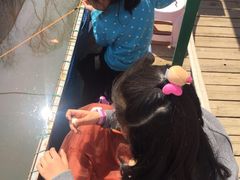 -白塘生态植物园