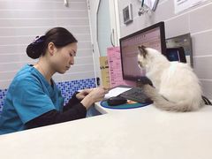 -芭比堂动物医院·心脏专科·夜诊·吉雅分院