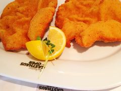 维也纳炸猪排-Plachuttas Gasthaus zur Oper