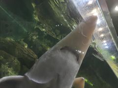 -江和美海洋公园