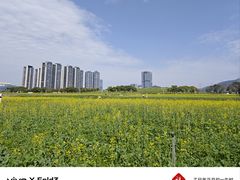 -光明小镇欢乐田园