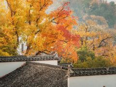 -塔川景区