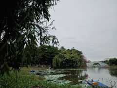 -映月湖公园