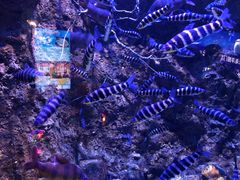 -成都浩海立方海洋公园