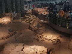 -自贡恐龙博物馆