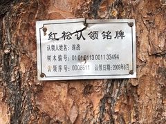 -五营国家森林公园