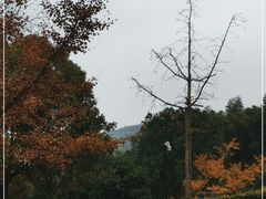 -虞山风景区