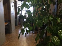 大堂-雅城香慧咖啡馆(常德路店)