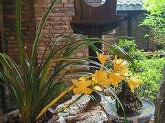 -鱼桥巷·美学川菜