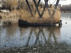 -大兴滨河森林公园