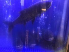-潇湘码头·鲜湘菜(清河店)