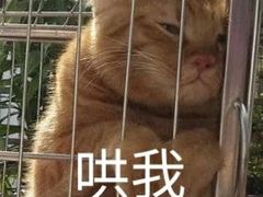 -巧云大馄饨(南阴阳营总店)