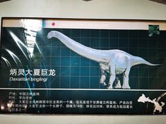 -安徽省地质博物馆