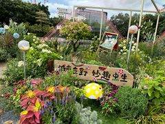 -南宁南湖公园