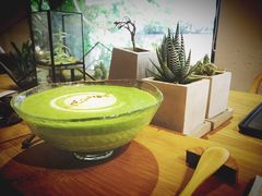 -柴务处·柴犬主题狗咖