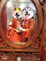 -汉仪华裳汉服馆(打浦桥店)