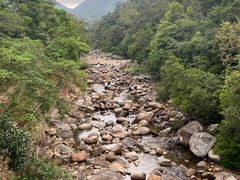 -海南热带雨林国家公园吊罗山景区