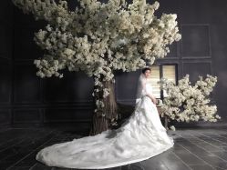 -完美新娘婚纱摄影