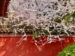 -西安市广仁寺